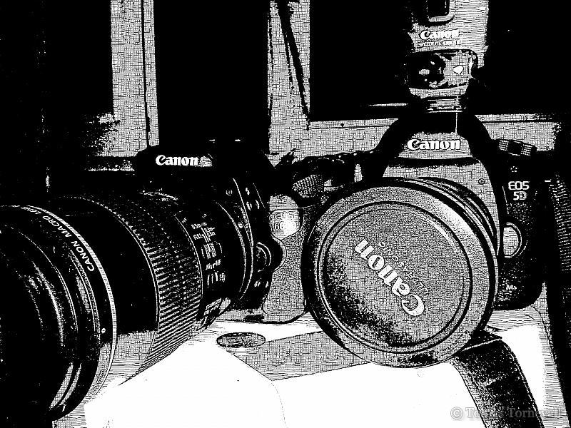 Inked Canons
